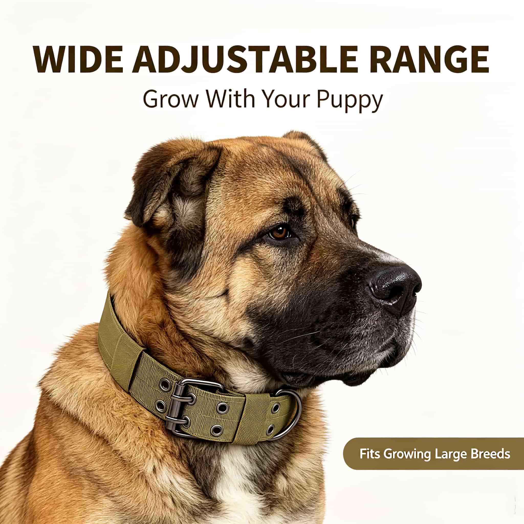 Outdoor Hunting Dog Collar - Camo Tactische Hondentuig Heavy Duty Nylon