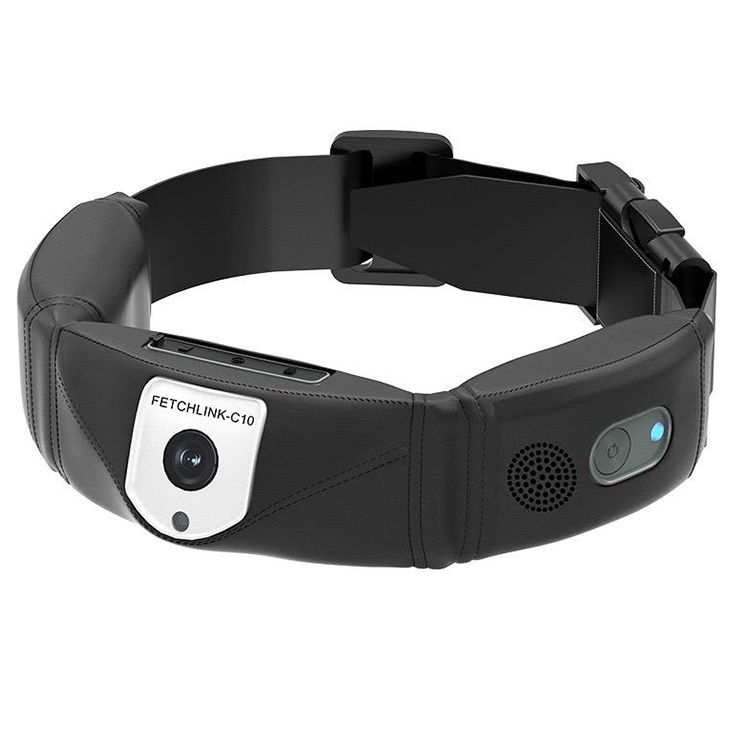 Hoogprecisie GPS-tracker honde - Outdoor Hunting Dog Collar recensie en prijs