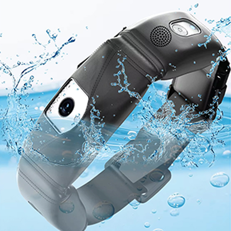 Hoogprecisie GPS-tracker honde - Outdoor Hunting Dog Collar recensie en prijs