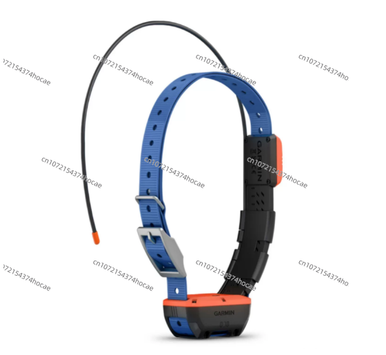 GPS-hondenhalsbandtracker voor - Outdoor Hunting Dog Collar recensie en prijs