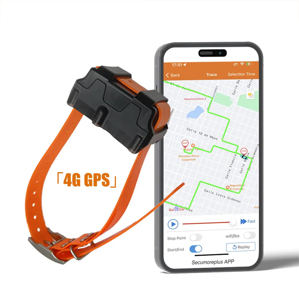 CY09A Draagbare huisdier GPS-t - Outdoor Hunting Dog Collar recensie en prijs