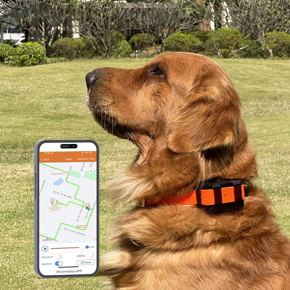 CY09A Draagbare huisdier GPS-t - Outdoor Hunting Dog Collar recensie en prijs