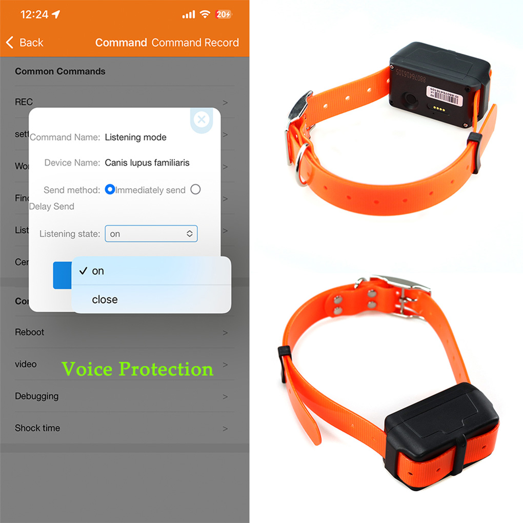 CY09A Draagbare huisdier GPS-t - Outdoor Hunting Dog Collar recensie en prijs