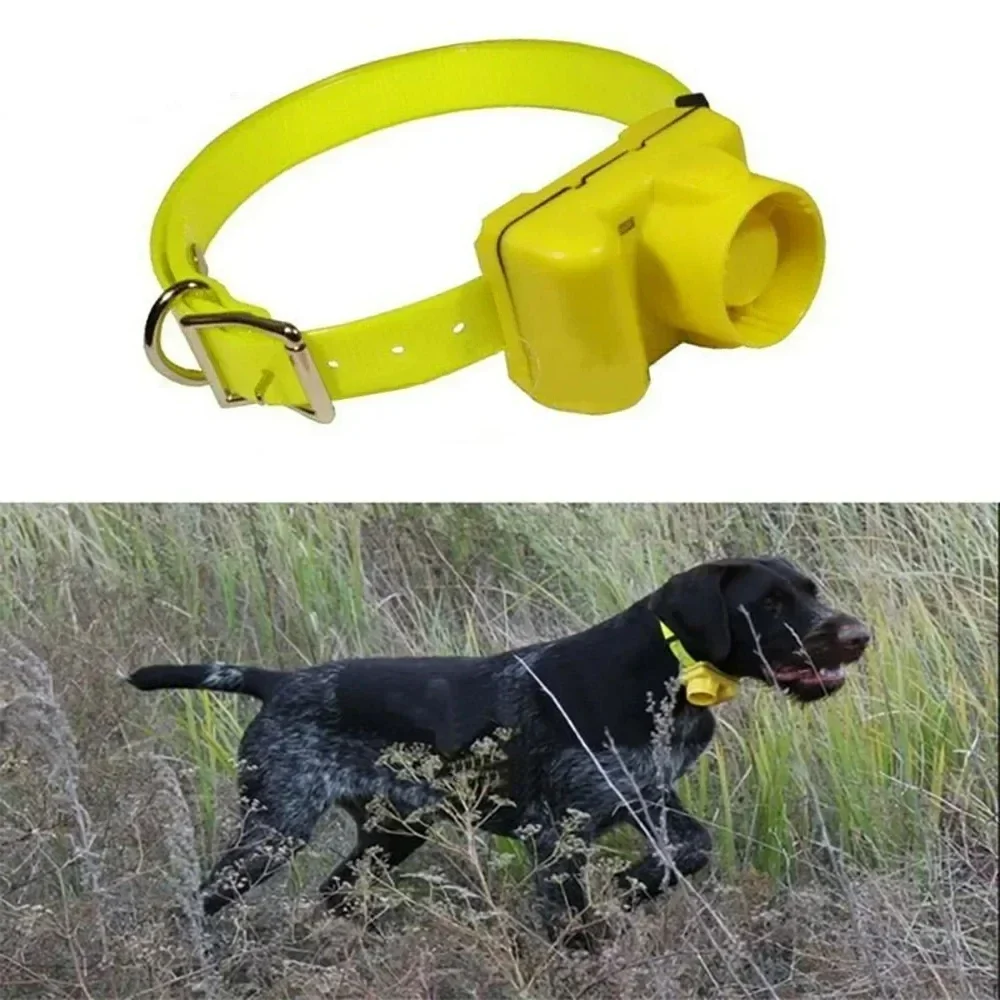 Bijgewerkte outdoor jachthonde - Outdoor Hunting Dog Collar recensie en prijs