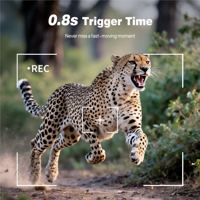 Outdoor Trail Jachtcamera 1080 - Trail Camera Infrared recensie en prijs