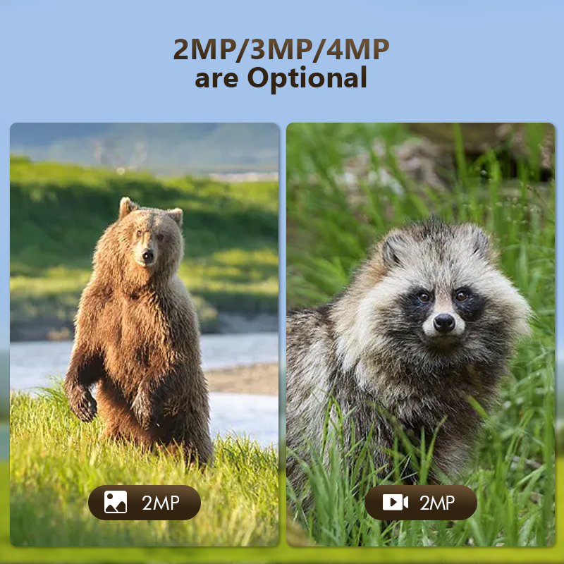 4G 4mp Outdoor Wildlife Jacht  - Trail Camera Infrared recensie en prijs