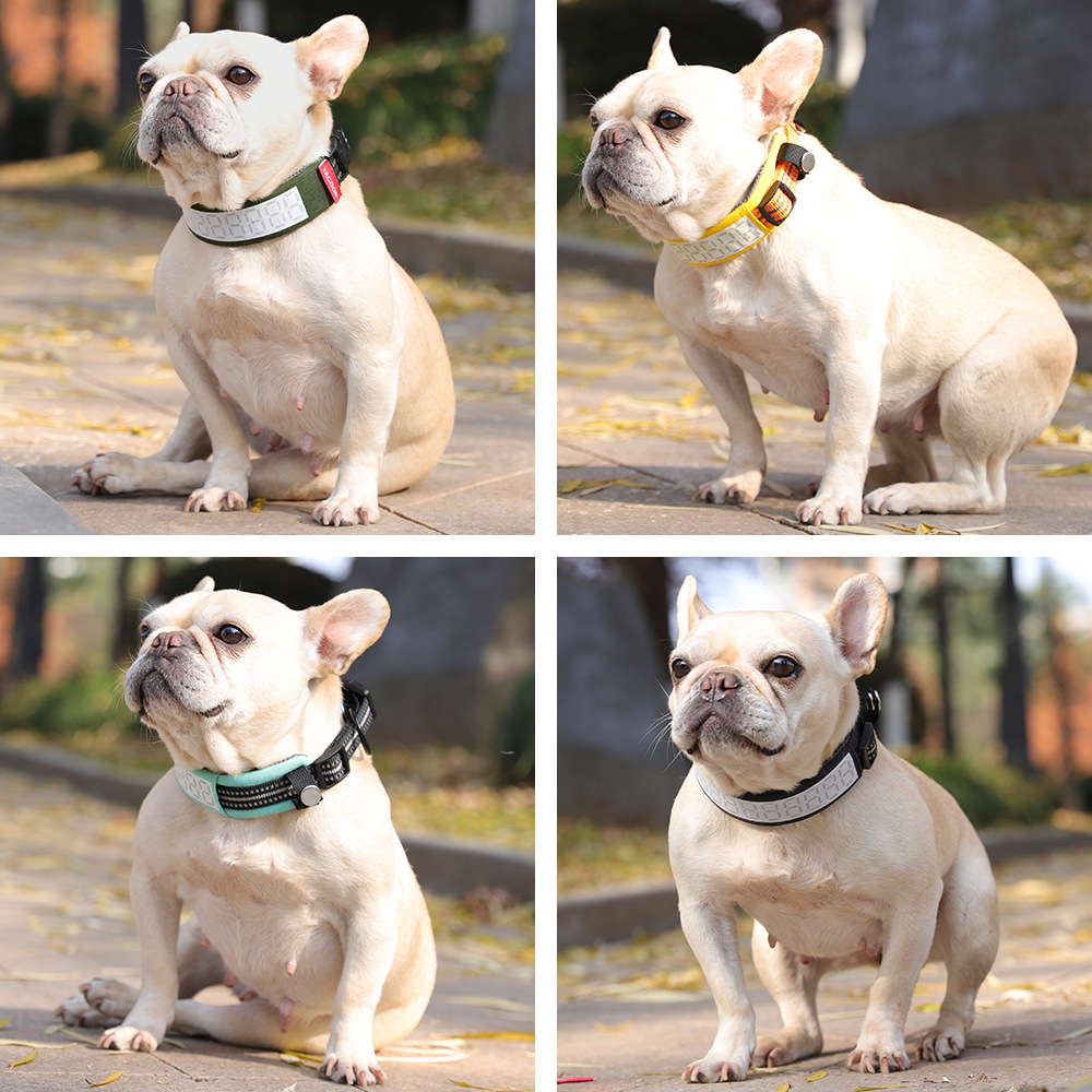 Reflecterende hondenhalsband v - Outdoor Hunting Dog Collar recensie en prijs