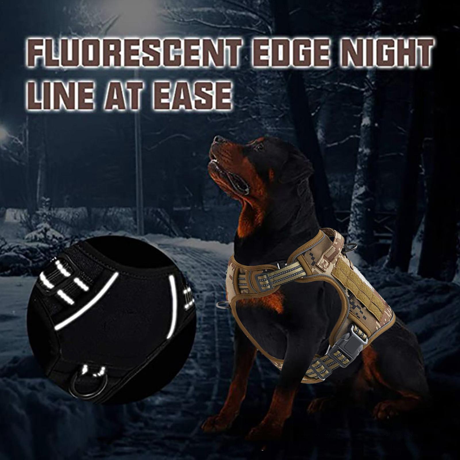 Hondentuig Metalen gesp Honden - Outdoor Hunting Dog Collar recensie en prijs