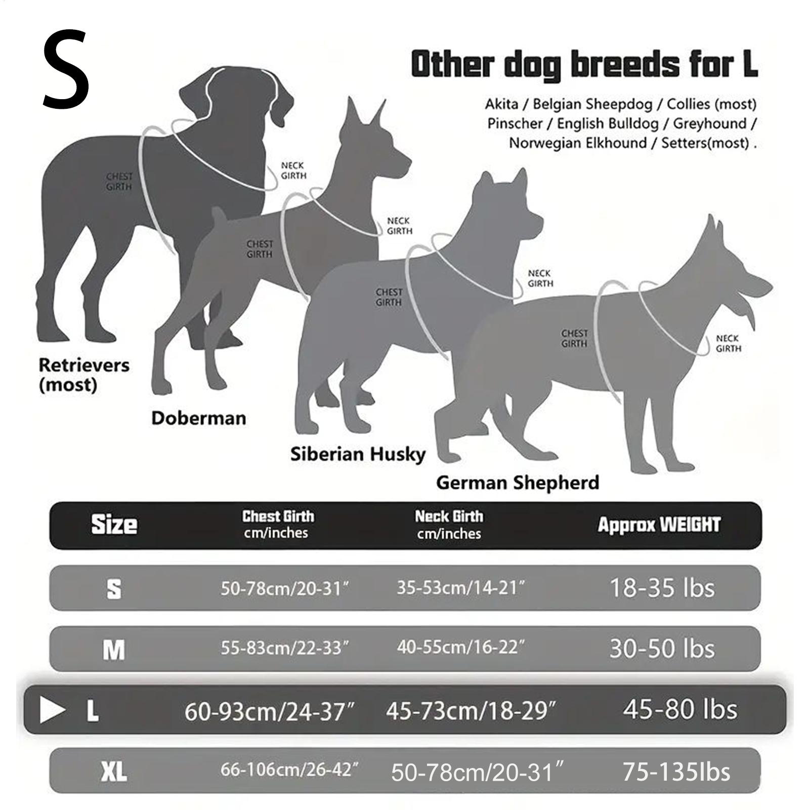Hondentuig Metalen gesp Honden - Outdoor Hunting Dog Collar recensie en prijs