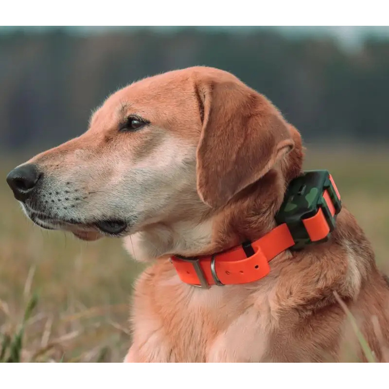 ICAR IK122M 2000mah Halsband 4 - Outdoor Hunting Dog Collar recensie en prijs