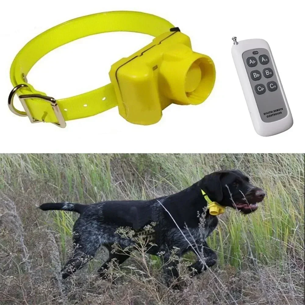 Bijgewerkte waterdichte jachth - Outdoor Hunting Dog Collar recensie en prijs