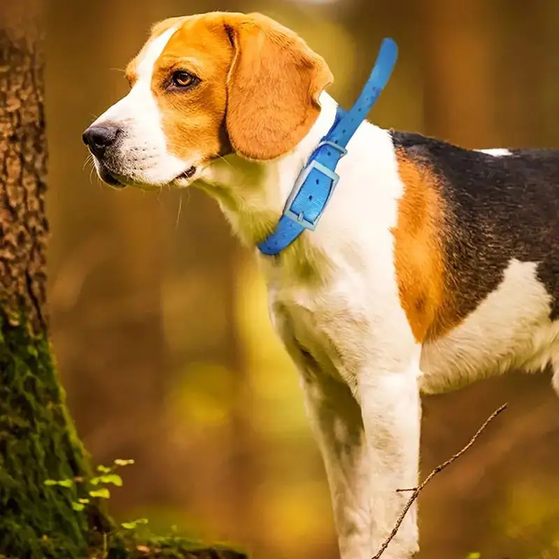 TPU Outdoor Pet Safety Collar  - Outdoor Hunting Dog Collar recensie en prijs